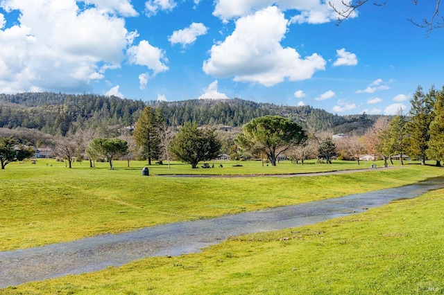 surrounding community featuring a yard and a mountain view