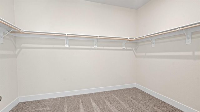 walk in closet featuring carpet