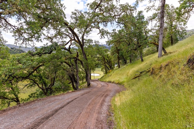 view of road