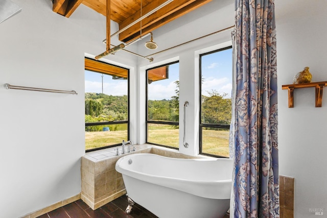 bathroom featuring hardwood / wood-style floors and a bathtub