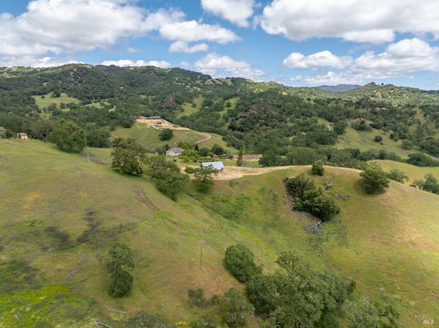 aerial view with a mountain view and a rural view