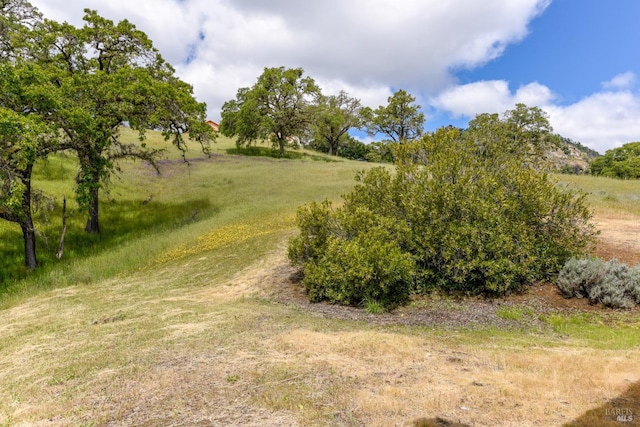 view of local wilderness with a rural view