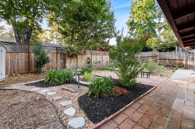 view of yard featuring a patio and a fenced backyard