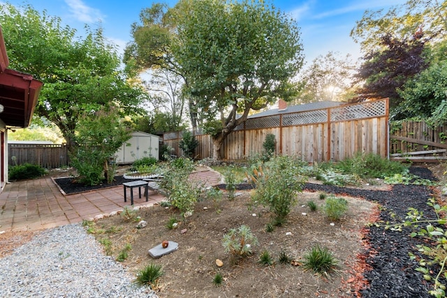 view of yard featuring an outbuilding, a patio area, a storage unit, and a fenced backyard