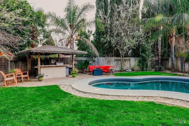 view of swimming pool with a fenced in pool, a fenced backyard, a patio, and outdoor dry bar