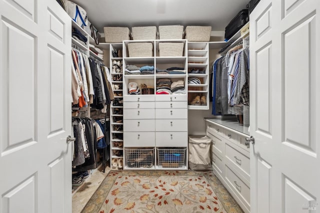 view of spacious closet