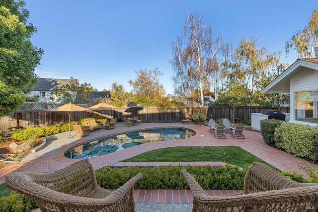 view of pool with grilling area and a patio area