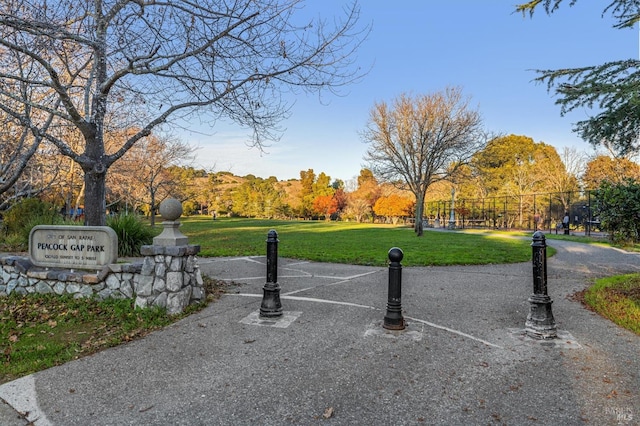 view of property's community featuring a lawn