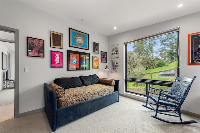 sitting room featuring carpet floors