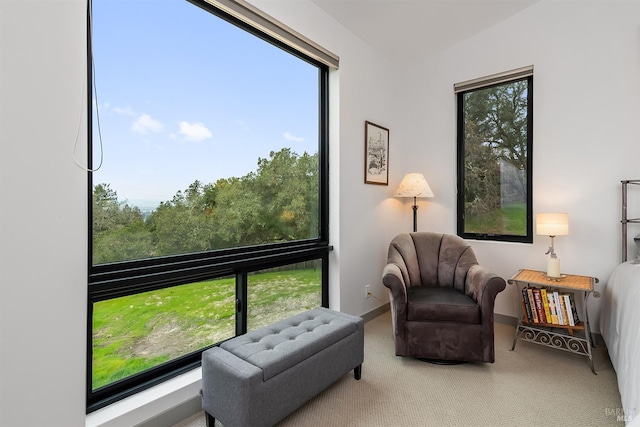 sitting room featuring carpet