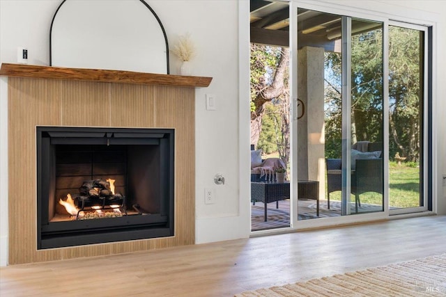 doorway with wood-type flooring and a fireplace