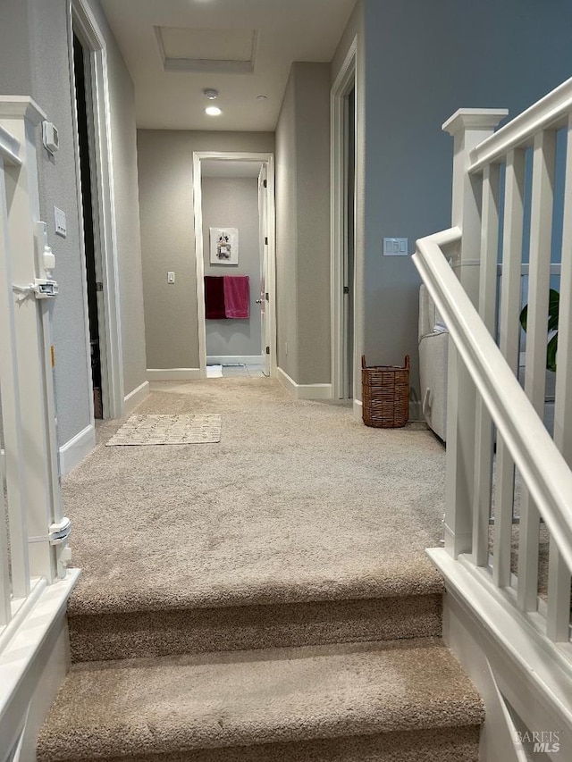 staircase with carpet