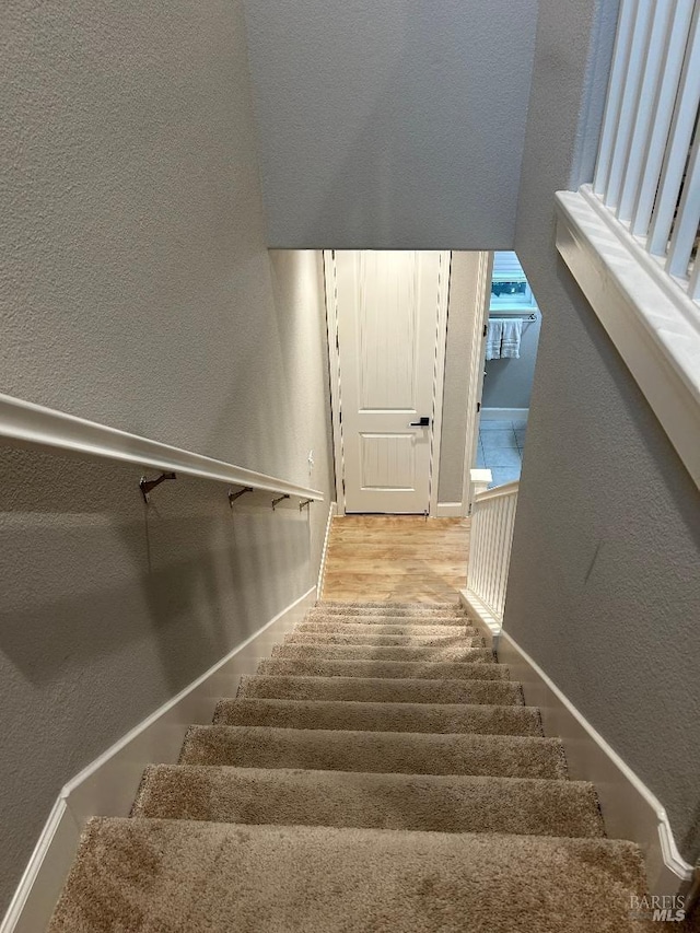 staircase with wood-type flooring