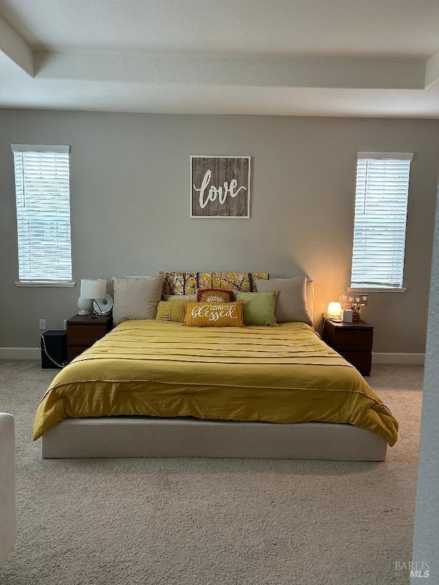 carpeted bedroom with multiple windows