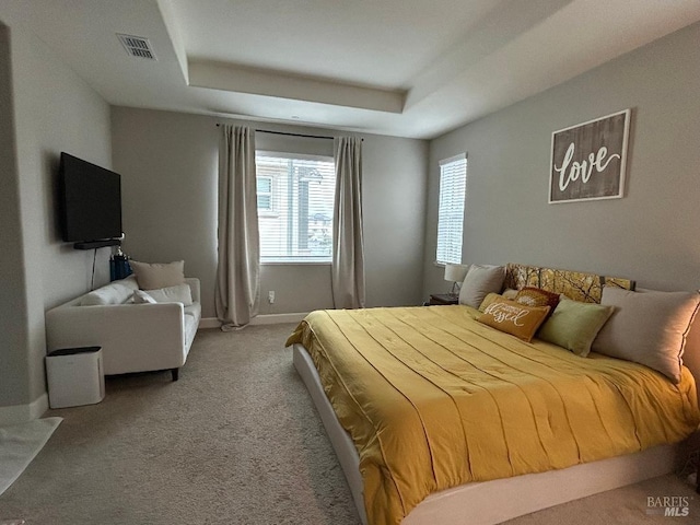 carpeted bedroom with a tray ceiling