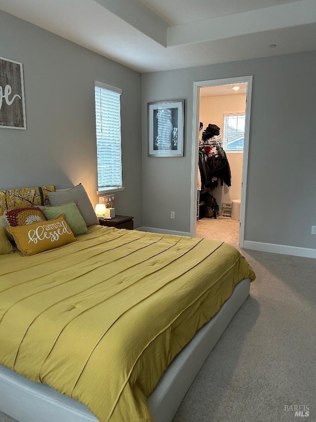 carpeted bedroom with a spacious closet and a closet