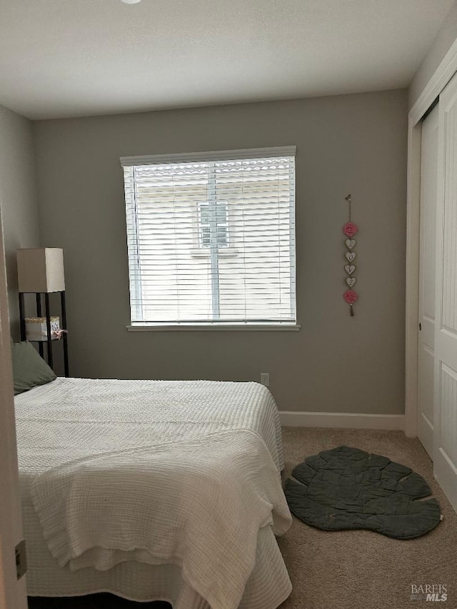 bedroom with carpet and a closet