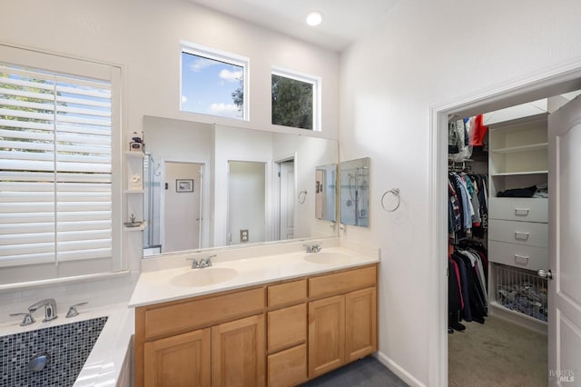 bathroom with double vanity, a spacious closet, baseboards, and a sink