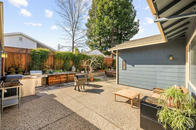 view of patio / terrace with fence and an outdoor kitchen