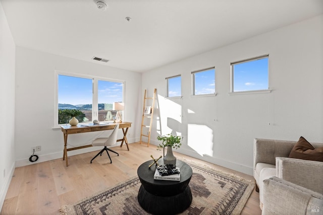 office area featuring a mountain view and light hardwood / wood-style flooring