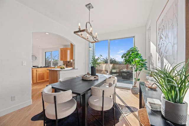 dining room with a notable chandelier and light hardwood / wood-style flooring