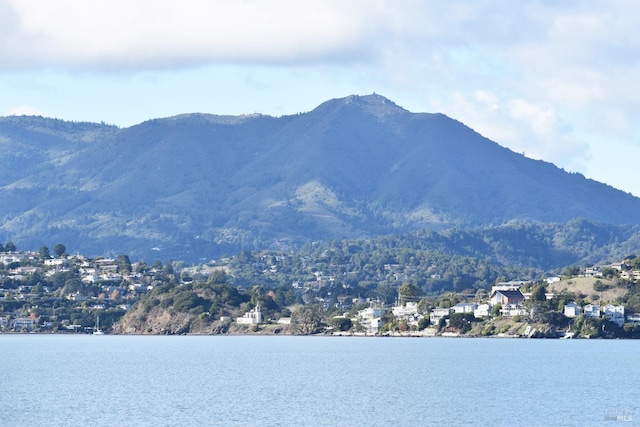 water view featuring a mountain view