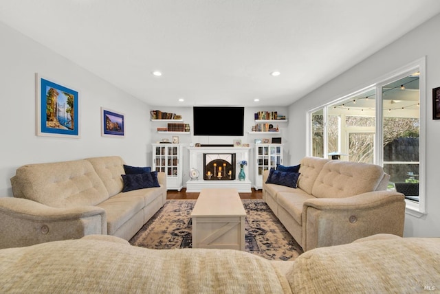 living room featuring hardwood / wood-style flooring