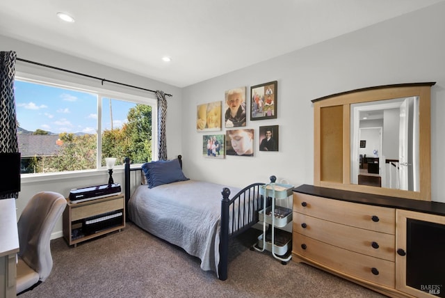 bedroom with carpet flooring