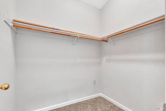 walk in closet featuring carpet