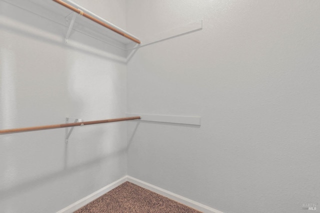 walk in closet featuring carpet flooring