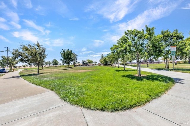 view of community featuring a yard