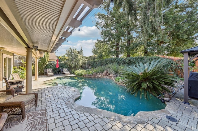 view of swimming pool with a patio