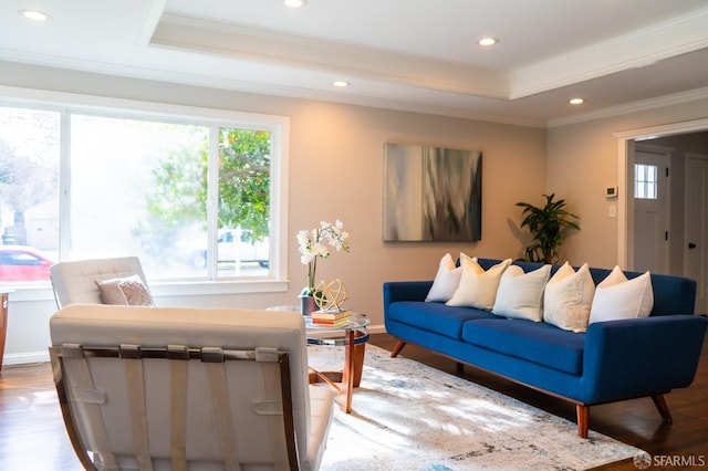 living room with wood finished floors, a raised ceiling, and crown molding