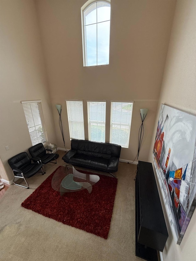 living area with carpet flooring, a towering ceiling, and baseboards