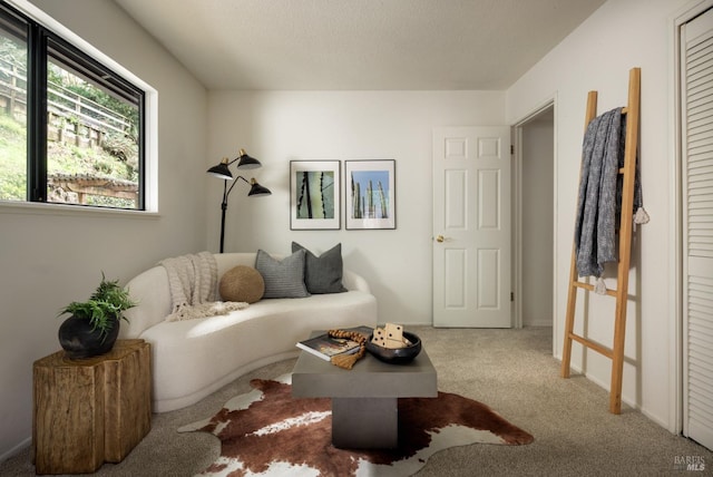 living area featuring a textured ceiling and carpet