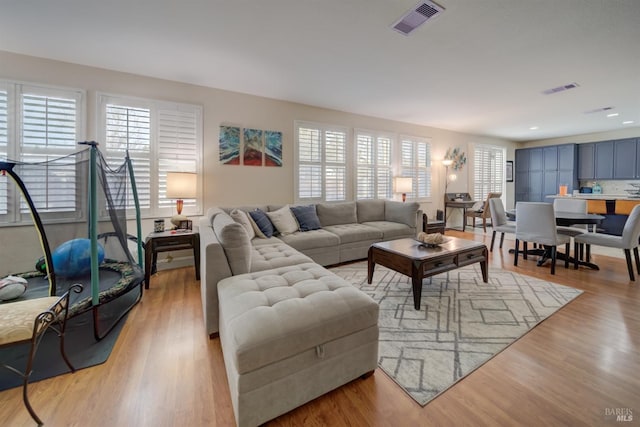living area with a wealth of natural light, light wood-style flooring, and visible vents