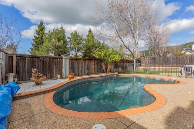 view of pool with a fenced in pool, a fenced backyard, and a patio
