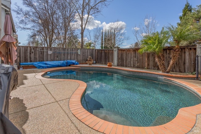 view of pool with a patio area, a fenced backyard, and a fenced in pool