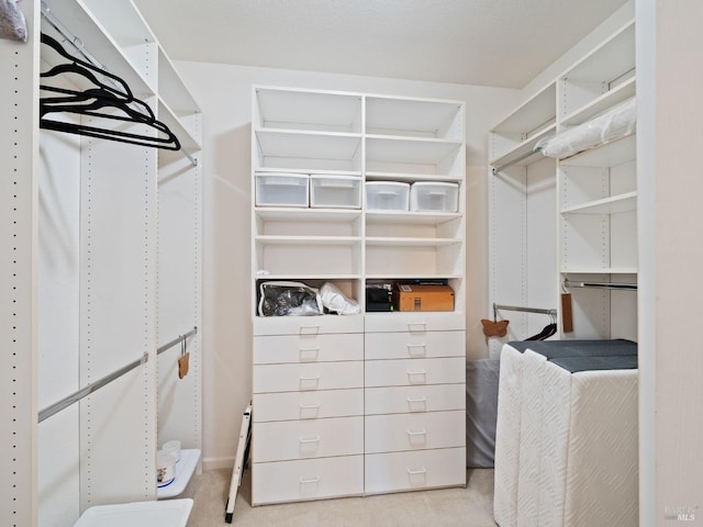 walk in closet with light colored carpet