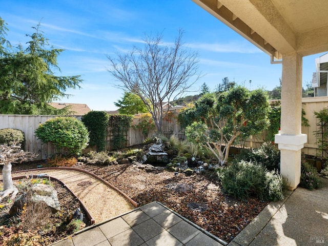 view of yard with a patio