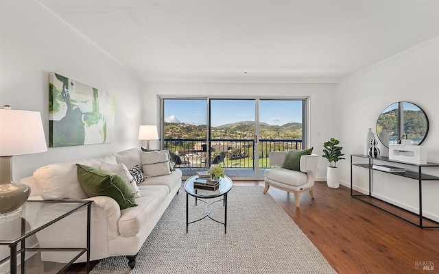 living room with a mountain view, hardwood / wood-style flooring, and ornamental molding