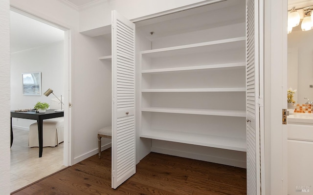 closet with sink