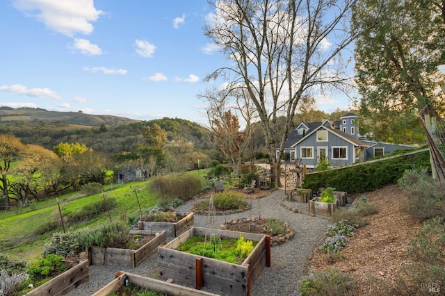 view of yard featuring a mountain view