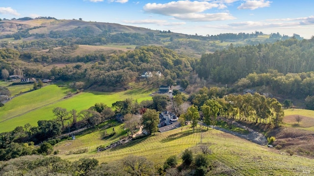 drone / aerial view featuring a mountain view