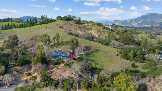 aerial view with a mountain view and a rural view