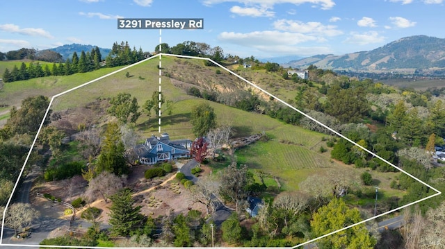 bird's eye view featuring a mountain view and a rural view