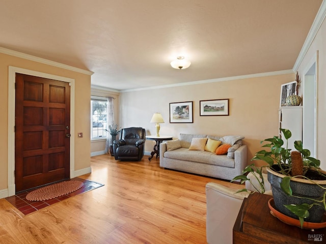 living room with crown molding and light hardwood / wood-style floors