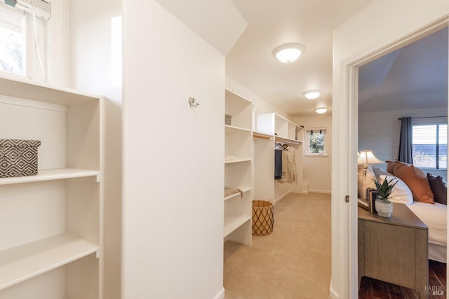 spacious closet with carpet flooring