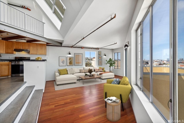 living area with a high ceiling and wood finished floors