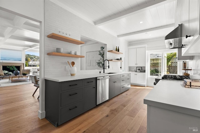 kitchen featuring a wealth of natural light, a sink, open shelves, and stainless steel dishwasher